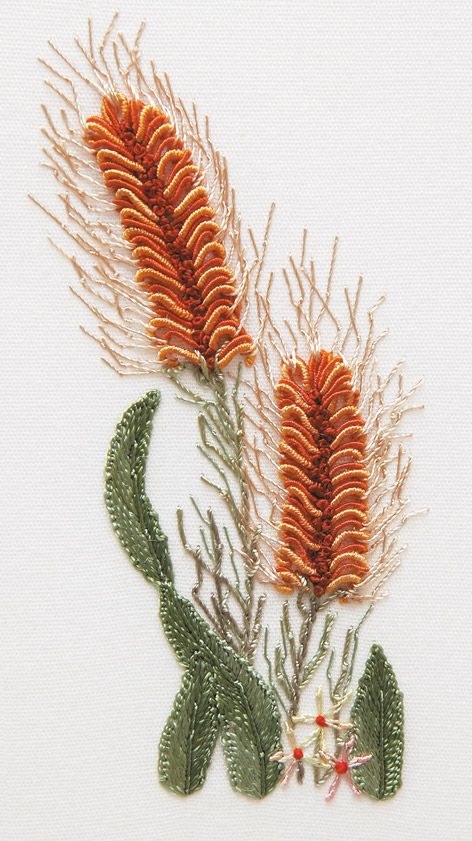 1705 Grevillea